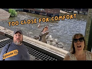 Gatorland Orlando Tour: Alligators, Adventure & Family Fun!