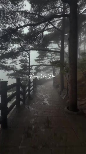 Exploring the Themes of Lana Del Rey's 'Born to Die'