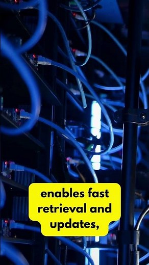 Importance of Database Development