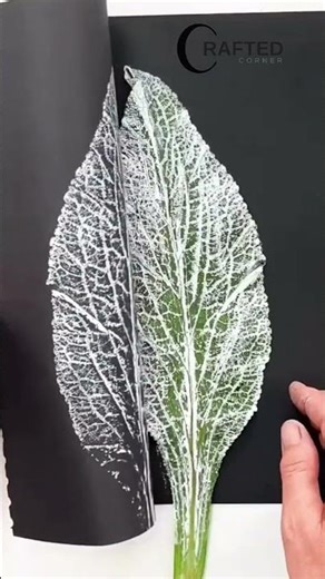 DIY Botanical Leaf Printing Art