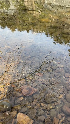 Billy Sims (@billy.sims)’s videos with Five Feet High and Rising - Johnny Cash