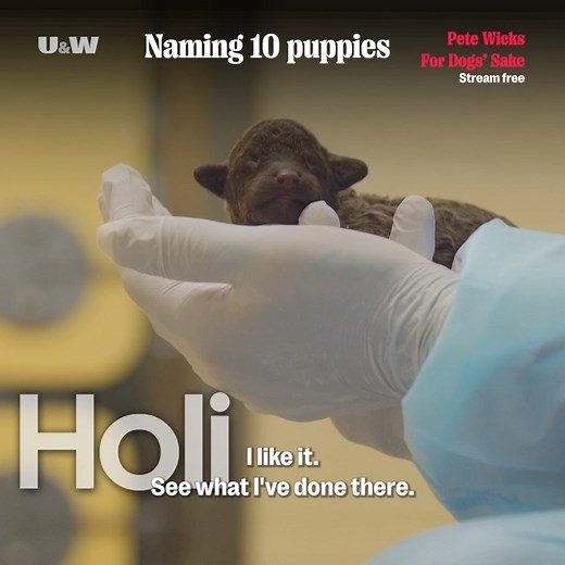 He's here! Pete Wicks has arrived at Basildon Dogs Trust and he's got the grand job of naming 10 new-born pups. Tune into the episode tonight at 9pm on U&W or stream free on StreamOnU | U&W