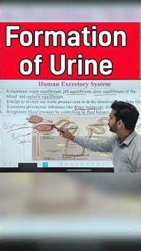 Formation of Urine #sciencegurushivam #education #class10science #excretorysystem