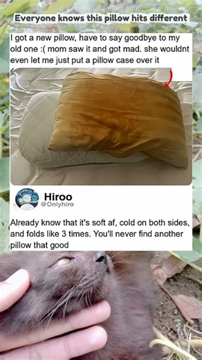 Everyone knows this pillow hits different #funny #memes #shortsfeed