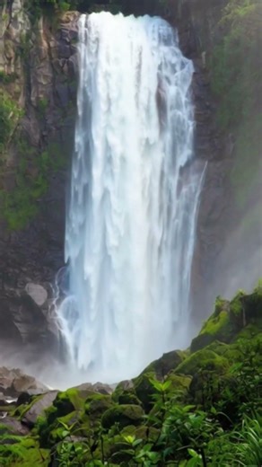 Nature That Calms Your Mind Instantly