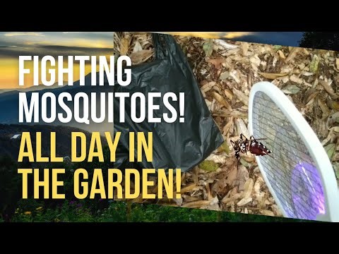 A Day in the Garden Fighting Mosquitoes! Mosquito Racket VS Thousands of Mosquitoes