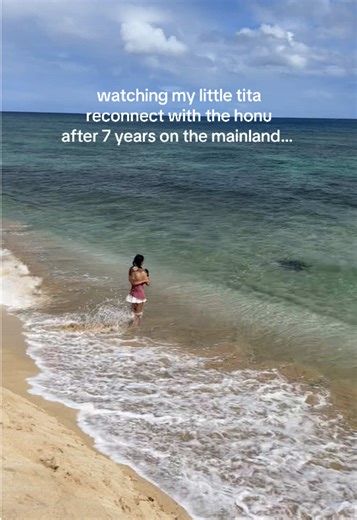 Reconnecting with Honu in Hawaii After 7 Years
