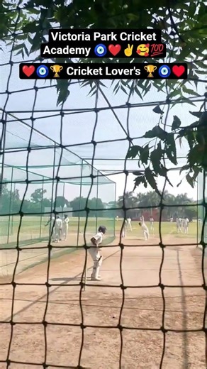 Cricket Lovers ✌️🧿🥰💯🏆 #cricket #viral