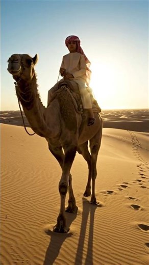 A boy traveling with Camel in the desert | 🐫🐫🐫#kids#wildlife #camel #desert #animals #animation ...