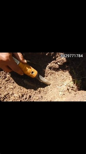 3.6K views · 41 reactions | Pinpointer Detecting In Silver Object #pinpointer #viralreel #silverobject | Gold Field Hunting | Facebook