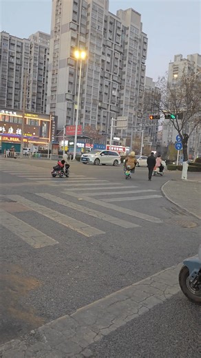 Someone Should Check the Driving License 😂 | Global Informers