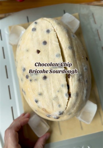 Dark Chocolate Chip Brioche Sourdough Recipe