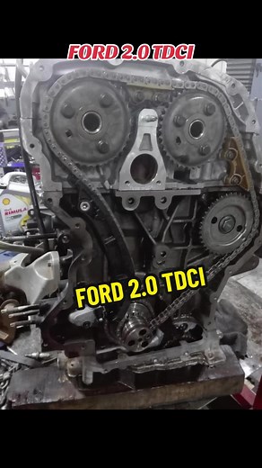 Remplacement de la courroie de distribution pour FORD 2.0 TDCI