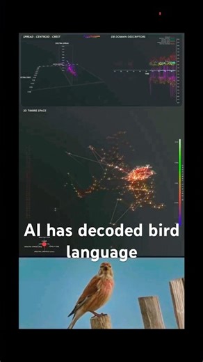 AI will soon decode all animal languages
