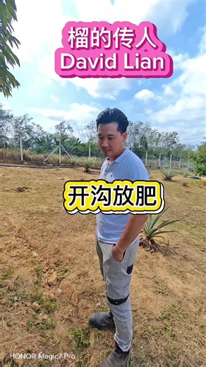 开沟放肥#榴的传人 #榴莲种植技术 #榴莲种植课程 #榴莲种植 #davidliandurian