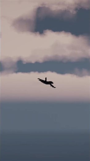 The Legendary Fighter of the Skies – F-14 Tomcat