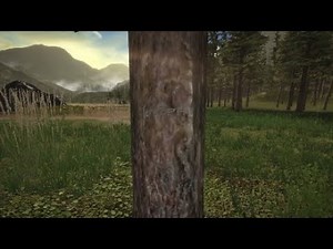 The First Tree - Level 6 100% Collectible Walkthrough