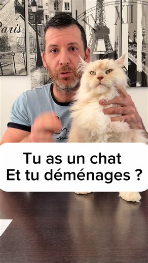 Tu as un chat et tu déménages ? La technique pour eviter de le perturber et stresser! #chat