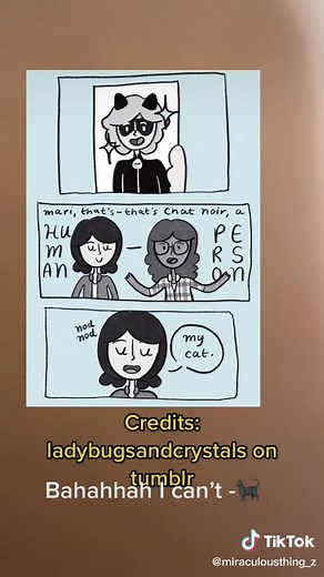 miraculousthing_z on TikTok