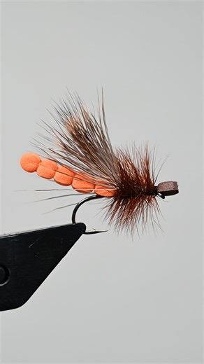 The Morrish October Fly Pattern from this months box from Postfly Box. I personally have never fished this pattern but I love tying foam extended bodies. It was a fun pattern to tie and utilizes a lot of different technics and materials. #postflybox #flytying #trout #svendflies | Svenddiesel