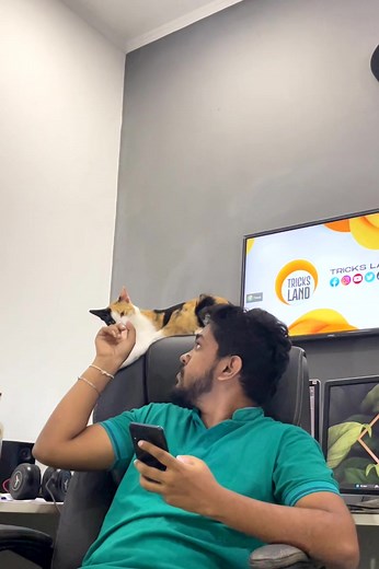 Design Social Media Posts with MS Word