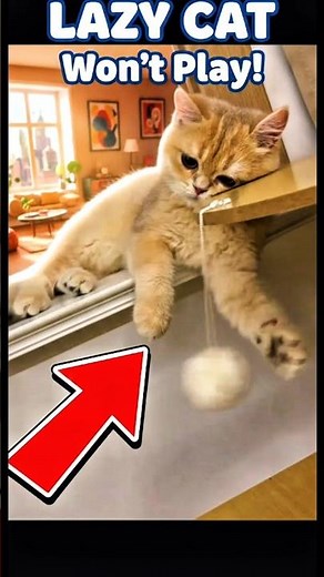 Cat Sleepy But Still Playful 😹