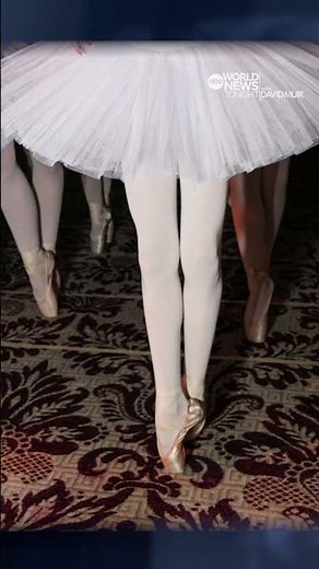 Hundreds of ballerinas gather at New York's Plaza Hotel to break world record