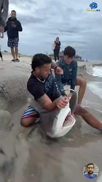 Saving Innocent Lives #animals