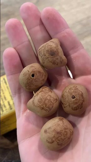 Trying Hello Panda Chocolate Biscuits for the First Time