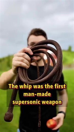 The whip was the first man-made supersonic weapon #fyp #foryoupage #tiktok #knowledge #usa #whip | Fumitaka07158 | Facebook