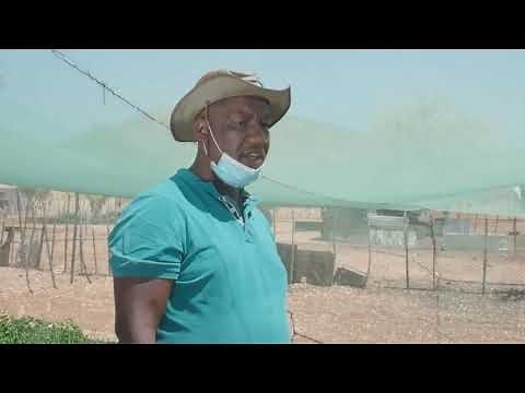 SUCCESSFUL FARMING IN NAMIBIA! Can this be a good example on how to start a farm in Africa?