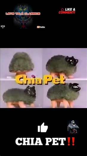 Did You Have A CH-CH-CH-CHIA⁉️ #letstalkclassics #nostalgia