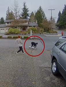 501K views · 2.6K reactions | Catching a Package Thief | Fit2Fat2Fit | Facebook