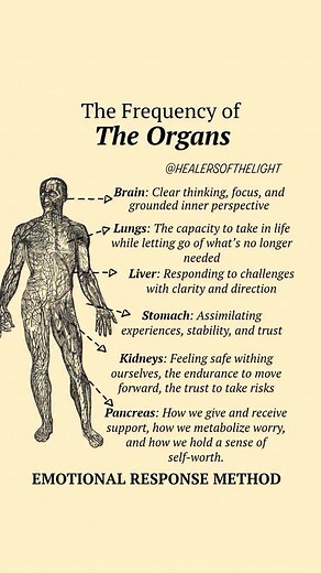 3.7K views · 82 reactions | Your body isn’t random. It’s responsive....