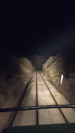 3.7K views · 130 reactions | Live from train driver cab scary view of train at night in mountains #shorts #mountains#reelsfb#train#shorts#live | Trains And Tracks | Facebook