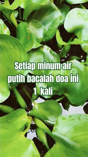 Every time you drink water, read this prayer once.