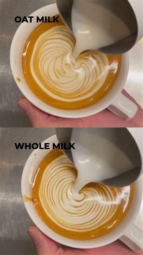 Latte Art Tutorial: Oat Milk VS Whole Milk #shorts #latteart #tutorial