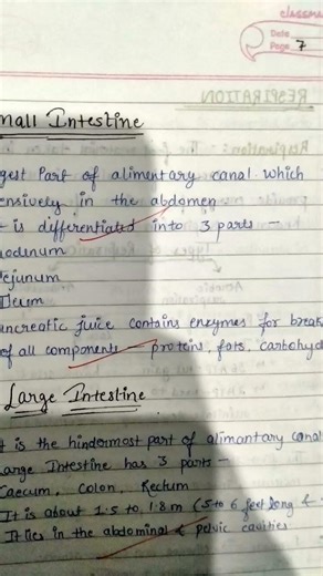 Class 10/Life processes notes// 10 boards last quick revision notes to score 99%