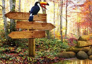 Autumn City Park Escape 4 - Escape Fan