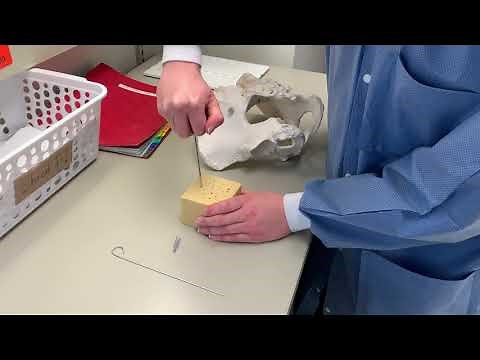 Jamshidi Bone Marrow Demonstration