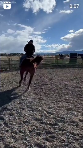 streamhorse: cowgirl horse training session
