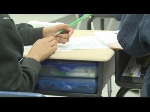 Websites selling homework in high demand, schools work to combat cheating | 10News WTSP