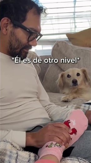 Percibo un poco de envidia en su ternura #dog #perros