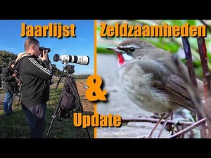 Jaarlijst & Zeldzaamste Vogels in Nederland 1-15 oktober 2025