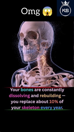 Bones rebuild science 🔭🧪