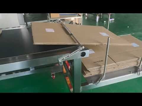 Top Side Carton Feeding Labelling System