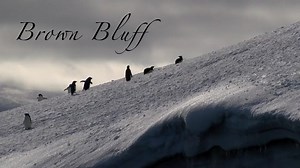 Brown Bluff, Antarctica