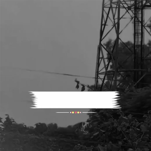 Solutions to Account Freezing Issues on TikTok