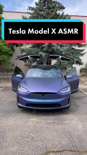 Satisfying Clicks with Tesla Model X ASMR