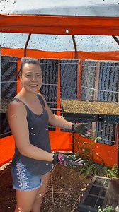 Alfalfa Bee Farm Release